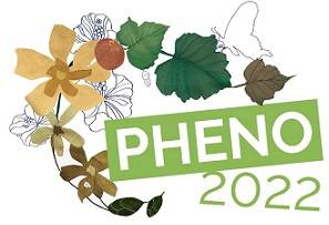 logo pheno 2022